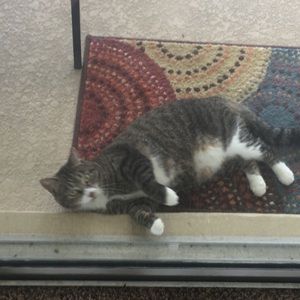 Meet your Posher, Heidi